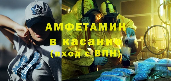 сатива Алексеевка