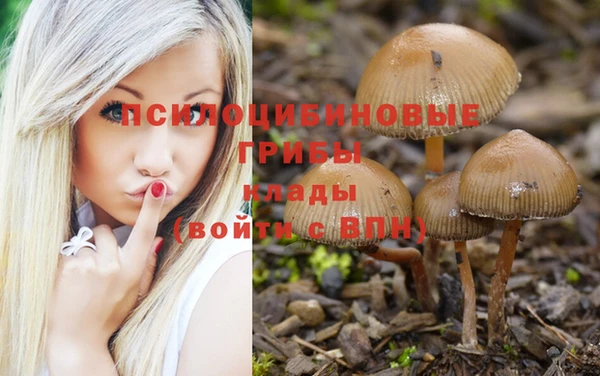 кокаин колумбия Алзамай
