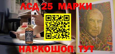спиды Гатчина