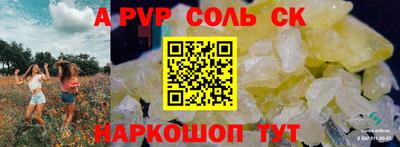 спиды Гатчина