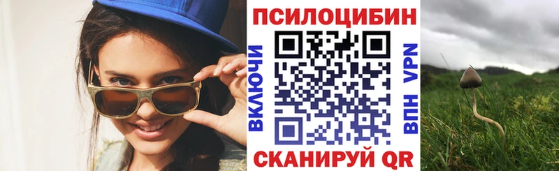 KRAKEN как зайти  Уссурийск  Галлюциногенные грибы GOLDEN TEACHER 