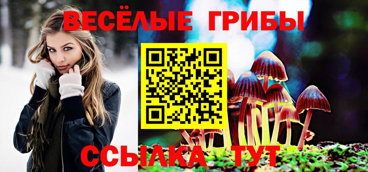 Псилоцибиновые грибы MAGIC MUSHROOMS  Вход с VPN  Уссурийск 